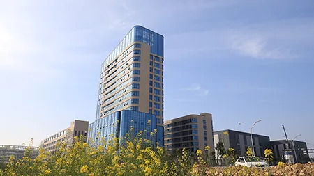 Company Profile